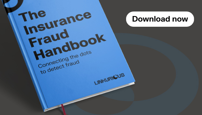 Image to download "The Insurance Fraud Handbook"
