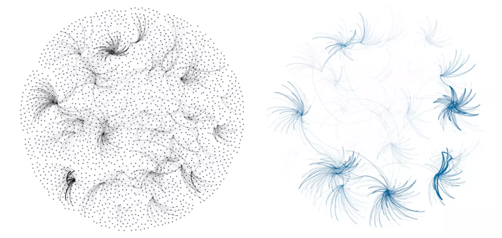 graph data exploration in Gephi